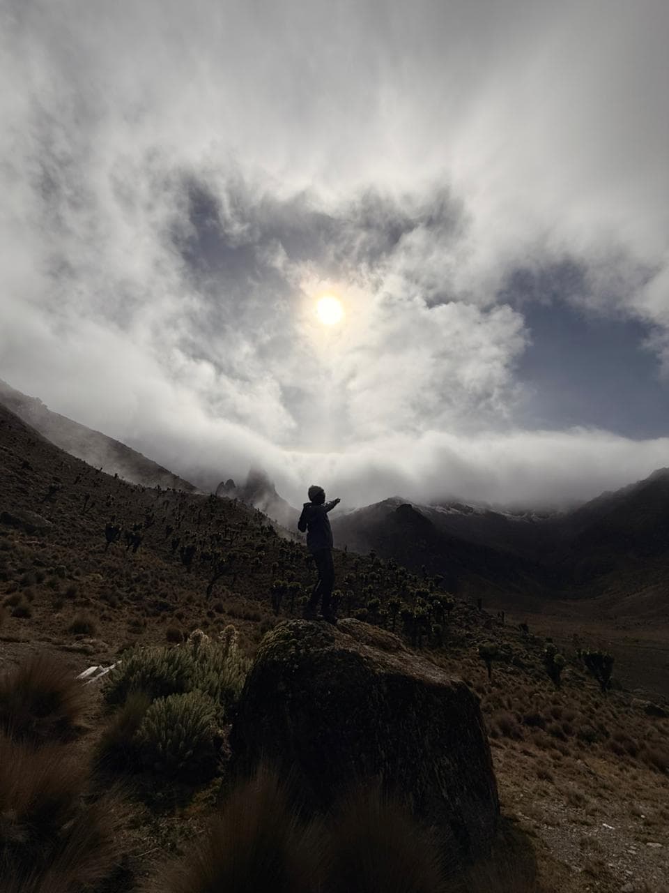 Hiker silhouetted against breaking clouds and sun above Mount Kenya senecios